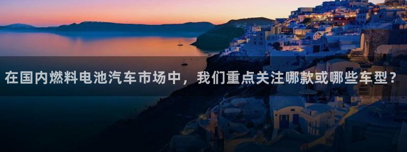 优发国际平台app下载安装：在国内燃料电