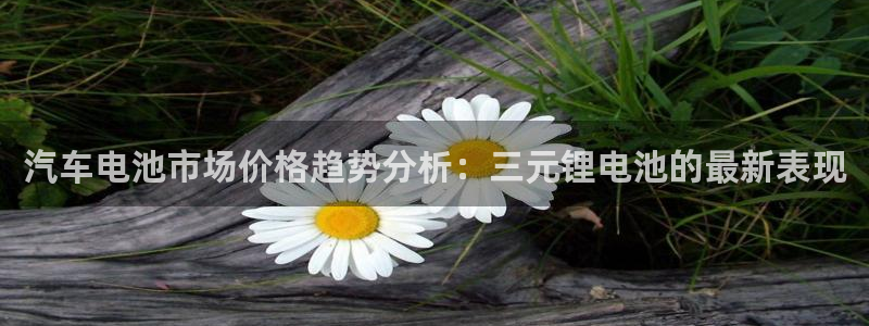 优发国际手机app下载安装官网：汽车电池市场价格趋势分析：三元锂电池的最新表现