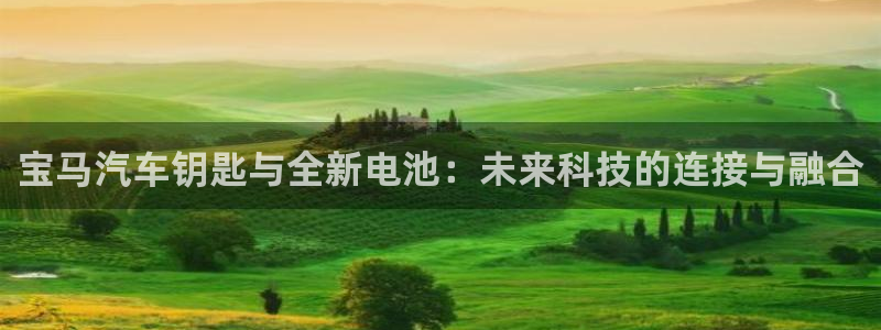 优发国际vip网址：宝马汽车钥匙与全新电