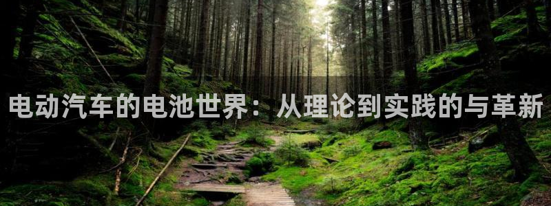 优发国际官方网平台电话：电动汽车的电池世界：从理论到实践的与革新