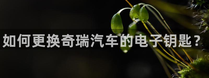优发国际手机客户端
