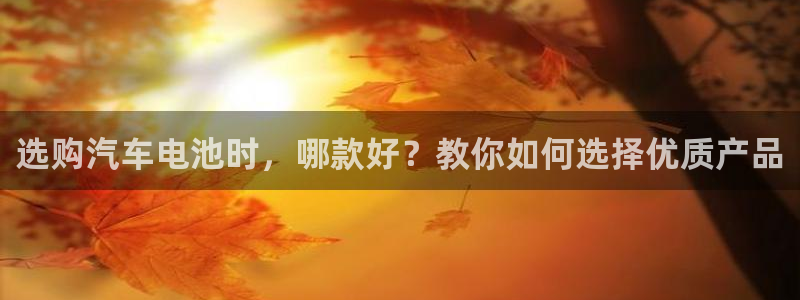 优发国际网官网17w8
