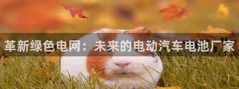 优发国际官网网站首页