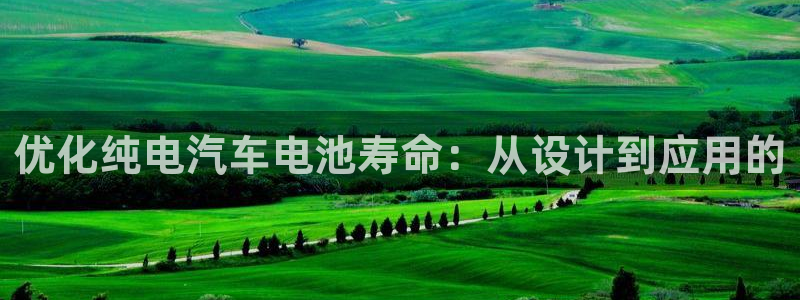 优发国际手机安装登录不了：优化纯电汽车电池寿命：从设计到应用的