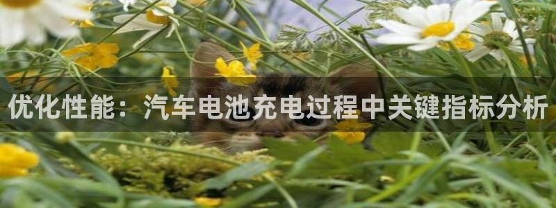 优发国际不出款怎么办
