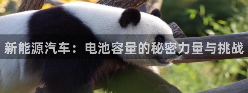 优发国际的官网是正品吗
