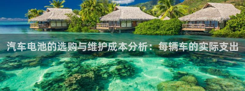 优发国际不出款：汽车电池的选购与维护成本分析：每辆车的实际支出