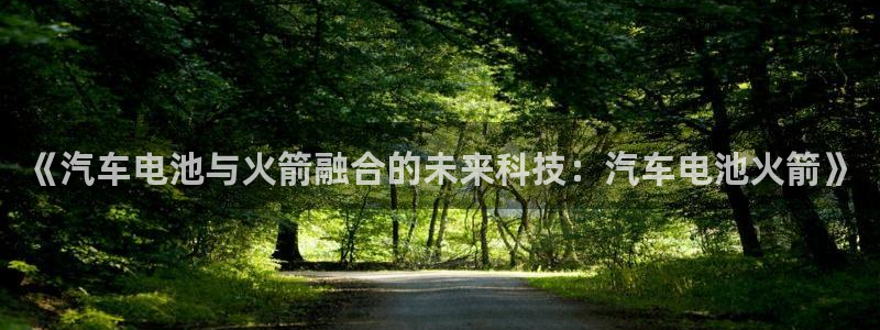 优发国际首页首页y6：《汽车电池与火箭融合的未来科技：汽车电池火箭》