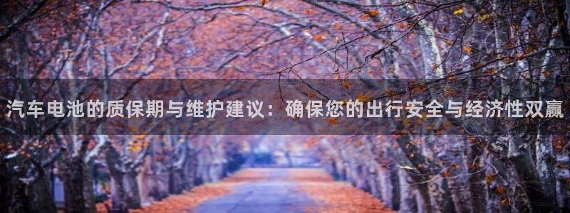优发国际登录首页怎么设置：汽车电池的质保期与维护建议：确保您的出行安全与经济性双赢