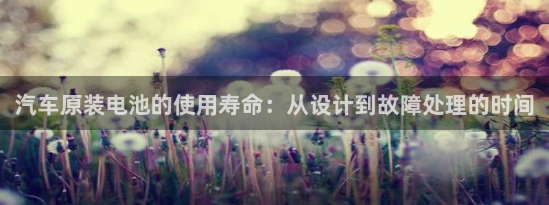 优发国际平台g80：汽车原装电池的使用寿命：从设计到故障处理的时间