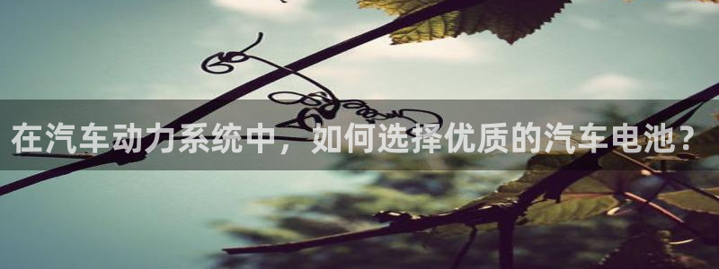 优发国际平台u8怎么样：在汽车动力系统中，如何选择优质的汽车电池？