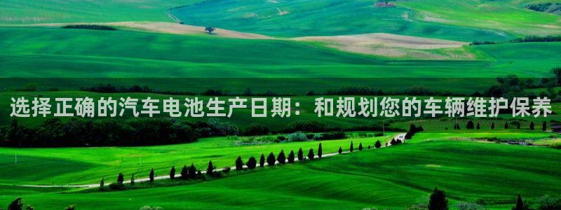 优发国际手机客户端下载安装：选择正确的汽车电池生产日期：和规划您的车辆维护保养