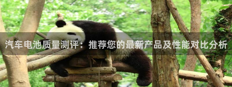 优发国际官网手机版：汽车电池质量测评：推荐您的最新产品及性能对比分析