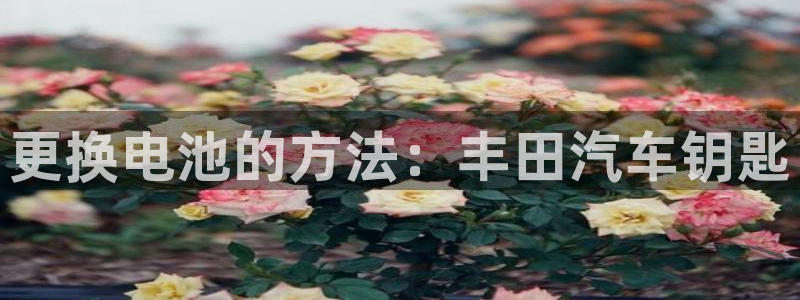 优发国际网站：更换电池的方法：丰田汽车钥匙