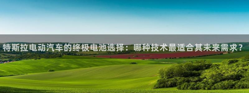 优发国际平台u8是什么软件：特斯拉电动汽车的终极电池选择：哪种技术最适合其未来需求？