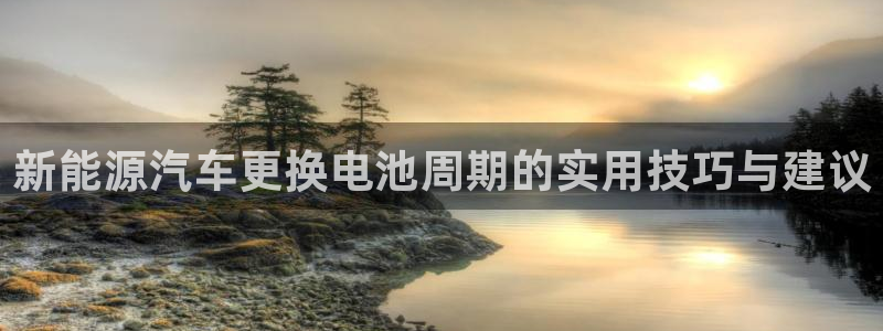 优发国际游戏17：新能源汽车更换电池周期的实用技巧与建议