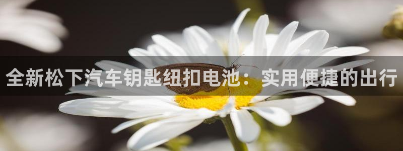 优发国际注册平台官网：全新松下汽车钥匙纽扣电池：实用便捷的出行