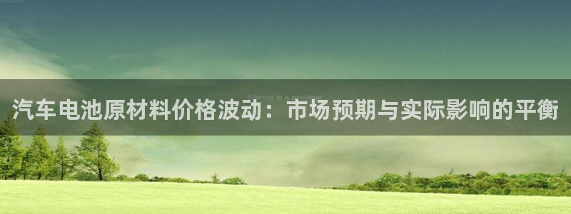 优发国际官网qy88：汽车电池原材料价格波动：市场预期与实际影响的平衡