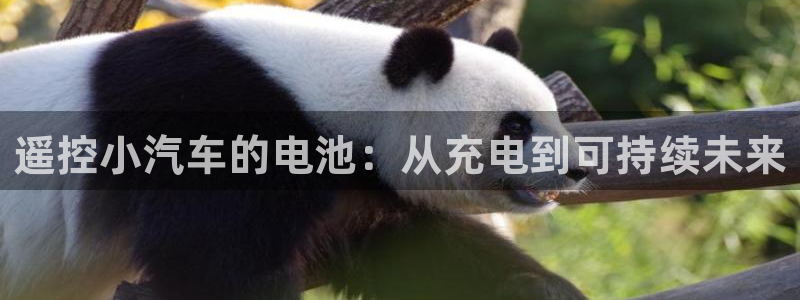 优发国际提现不了：遥控小汽车的电池：从充电到可持续未来