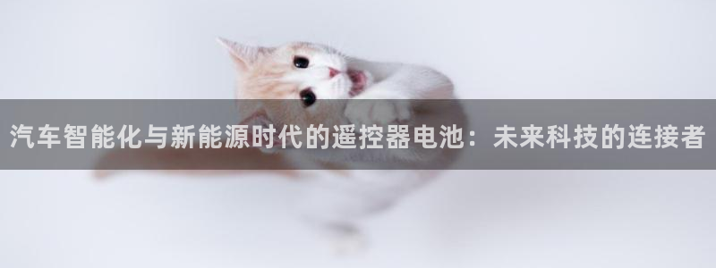 u优发国际首页：汽车智能化与新能源时代的遥控器电池：未来科技的连接者