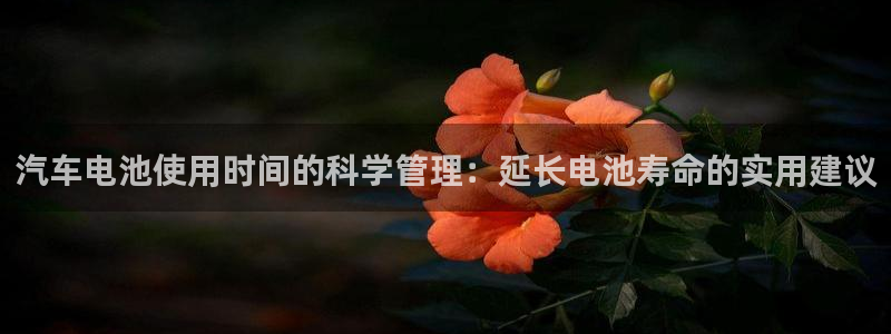优发国际网站：汽车电池使用时间的科学管理：延长电池寿命的实用建议
