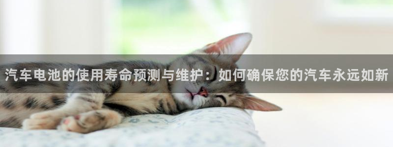 优发国际手机客户端下载
