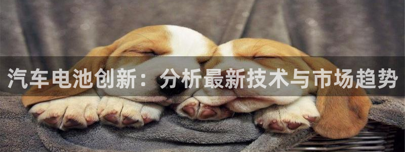 优发国际手机版客户端下载：汽车电池创新：分析最新技术与市场趋势