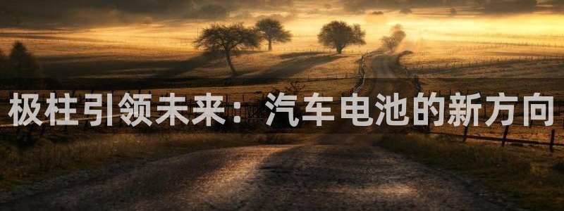 优发国际这个平台怎么样：极柱引领未来：汽车电池的新方向