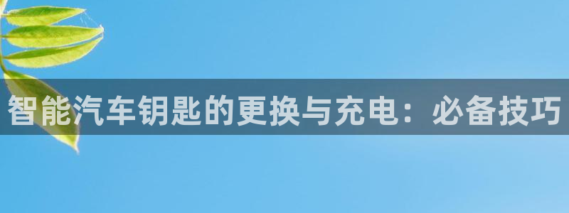 优发国际平台g80：智能汽车钥匙的更换与
