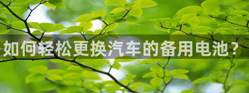 优发国际客服联系方式电话：如何轻松更换汽车的备用电池？
