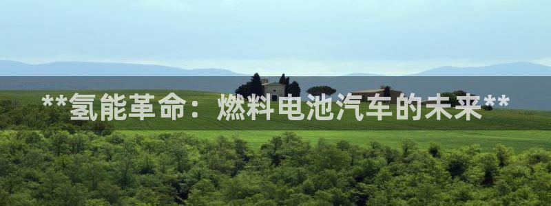 优发国际官网入口app下载安装：**氢能革命：燃料电池汽车的未来**