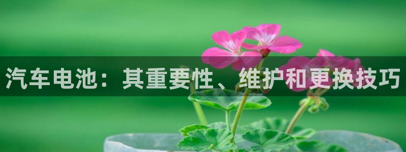 优发国际官方网平台电话：汽车电池：其重要性、维护和更换技巧