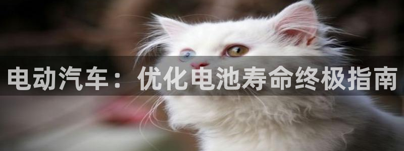 优发国际官网手机版下载安卓：电动汽车：优化电池寿命终极指南