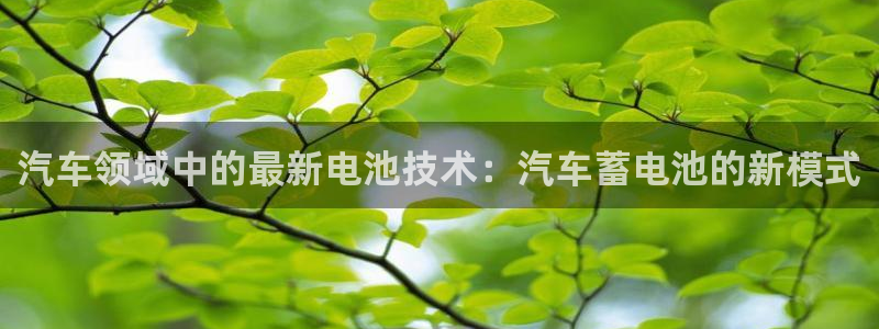 优发国际官网网站入口：汽车领域中的最新电池技术：汽车蓄电池的新模式