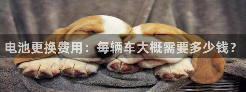 优发国际安卓版下载安装最新版：电池更换费用：每辆车大概需要多少钱？