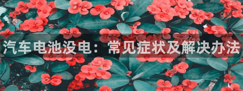 优发国际软件下载官网：汽车电池没电：常见症状及解决办法