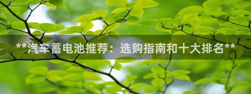 优发国际手机app下载安装最新版：**汽车蓄电池推荐：选购指南和十大排名**
