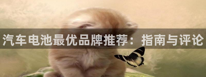 优发国际首页app：汽车电池最优品牌推荐：指南与评论
