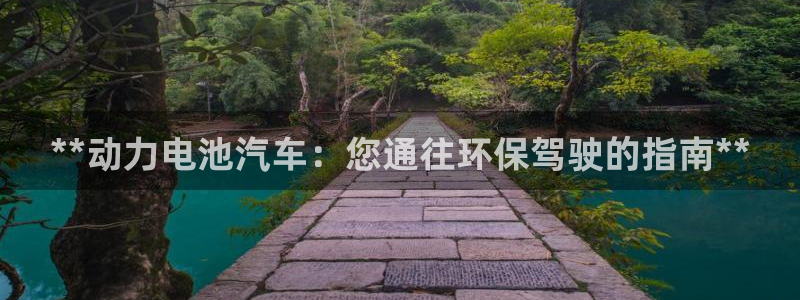 优发国际登录l8：**动力电池汽车：您通往环保驾驶的指南**