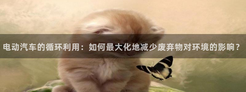 优发国际这个平台怎么样啊：电动汽车的循环