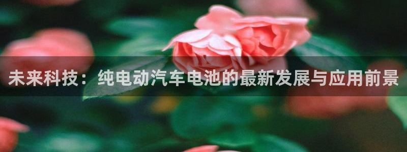 优发国际官网是多少：未来科技：纯电动汽车电池的最新发展与应用前景