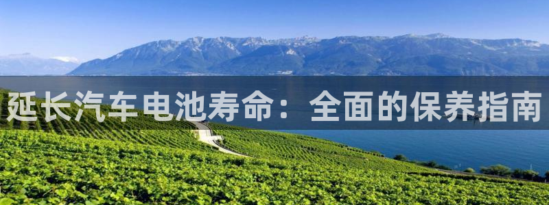 优发国际登录首页：延长汽车电池寿命：全面