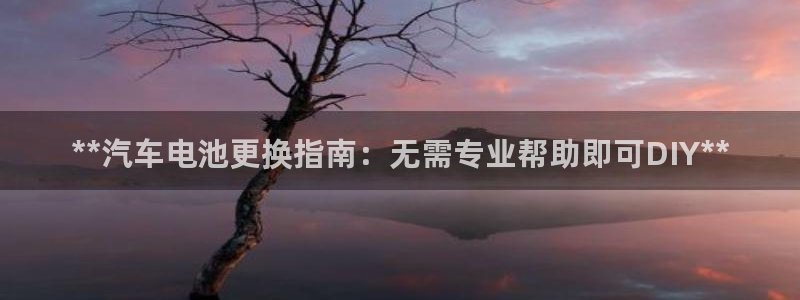 优发国际的官网是正品吗：**汽车电池更换指南：无需专业帮助即可DIY**