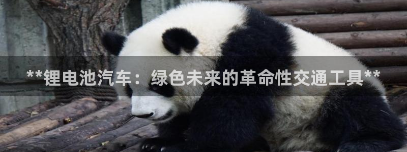 优发国际官网下载手机版：**锂电池汽车：