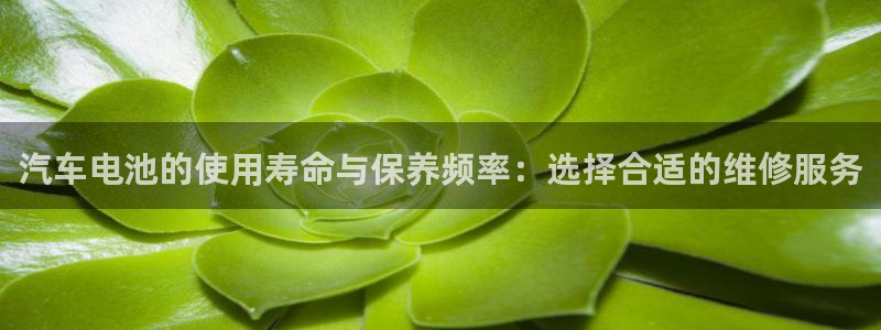 u优发国际首页：汽车电池的使用寿命与保养频率：选择合适的维修服务