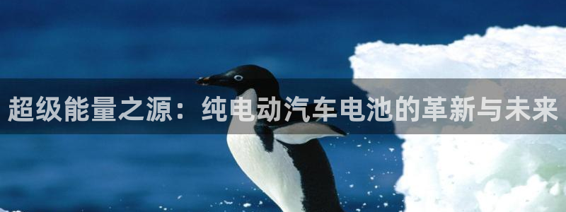 优发国际集团股份有限公司官网：超级能量之源：纯电动汽车电池的革新与未来