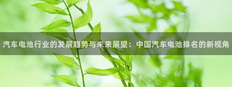 优发国际手机版官网：汽车电池行业的发展趋势与未来展望：中国汽车电池排名的新视角