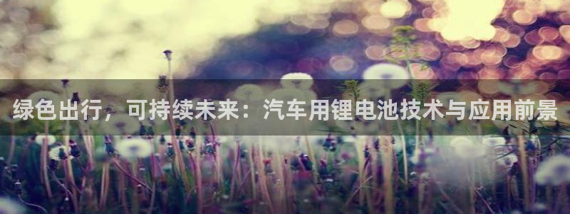 优发国际手机版网站：绿色出行，可持续未来：汽车用锂电池技术与应用前景