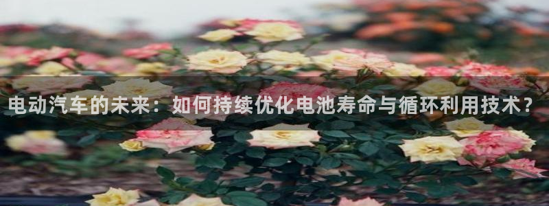 优发国际登录l8：电动汽车的未来：如何持续优化电池寿命与循环利用技术？
