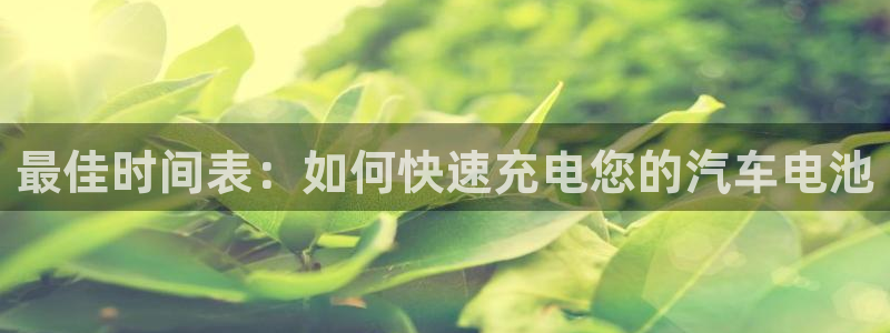 优发国际官网官方网址：最佳时间表：如何快